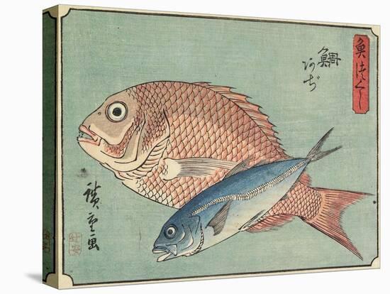 Snapper and Horse Mackerel, 1830-1844-Utagawa Hiroshige-Stretched Canvas