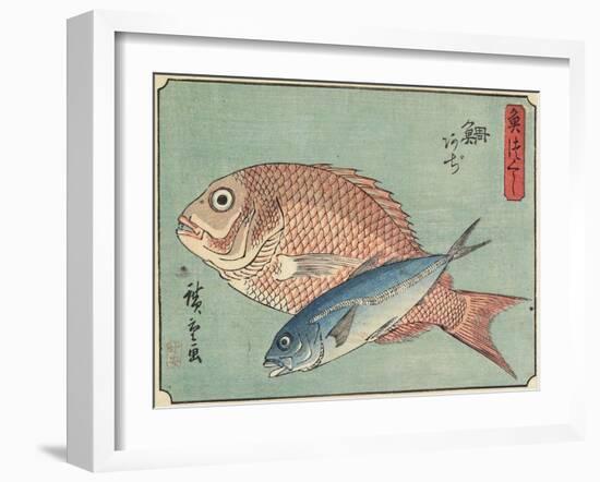 Snapper and Horse Mackerel, 1830-1844-Utagawa Hiroshige-Framed Giclee Print