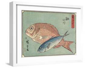 Snapper and Horse Mackerel, 1830-1844-Utagawa Hiroshige-Framed Giclee Print