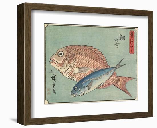 Snapper and Horse Mackerel, 1830-1844-Utagawa Hiroshige-Framed Giclee Print