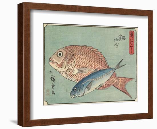 Snapper and Horse Mackerel, 1830-1844-Utagawa Hiroshige-Framed Giclee Print