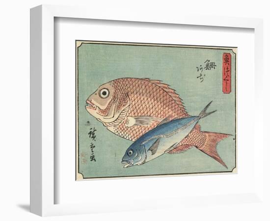 Snapper and Horse Mackerel, 1830-1844-Utagawa Hiroshige-Framed Giclee Print