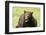 Snarling Black Bear-MichaelRiggs-Framed Photographic Print