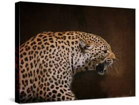 Snarling Leopard-Jai Johnson-Stretched Canvas