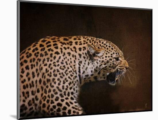 Snarling Leopard-Jai Johnson-Mounted Giclee Print