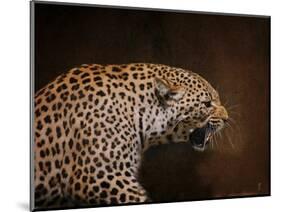 Snarling Leopard-Jai Johnson-Mounted Giclee Print