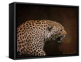 Snarling Leopard-Jai Johnson-Framed Stretched Canvas