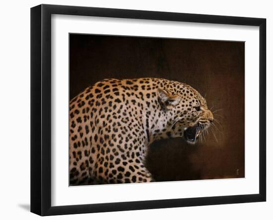 Snarling Leopard-Jai Johnson-Framed Giclee Print