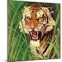 "Snarling Tiger," April 19, 1941-Emmett Watson-Mounted Giclee Print