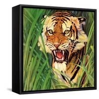 "Snarling Tiger," April 19, 1941-Emmett Watson-Framed Stretched Canvas