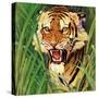 "Snarling Tiger," April 19, 1941-Emmett Watson-Stretched Canvas