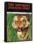 "Snarling Tiger," Saturday Evening Post Cover, April 19, 1941-Emmett Watson-Framed Stretched Canvas