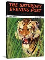 "Snarling Tiger," Saturday Evening Post Cover, April 19, 1941-Emmett Watson-Stretched Canvas