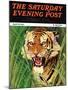 "Snarling Tiger," Saturday Evening Post Cover, April 19, 1941-Emmett Watson-Mounted Giclee Print