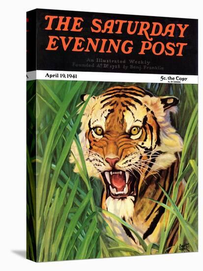 "Snarling Tiger," Saturday Evening Post Cover, April 19, 1941-Emmett Watson-Stretched Canvas