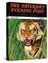 "Snarling Tiger," Saturday Evening Post Cover, April 19, 1941-Emmett Watson-Stretched Canvas