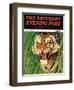 "Snarling Tiger," Saturday Evening Post Cover, April 19, 1941-Emmett Watson-Framed Giclee Print