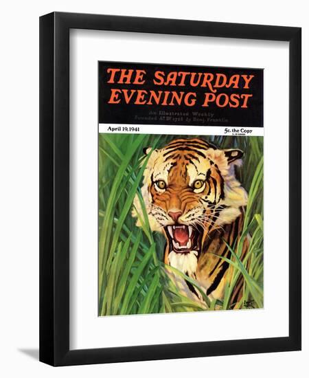 "Snarling Tiger," Saturday Evening Post Cover, April 19, 1941-Emmett Watson-Framed Premium Giclee Print