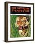 "Snarling Tiger," Saturday Evening Post Cover, April 19, 1941-Emmett Watson-Framed Premium Giclee Print