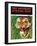 "Snarling Tiger," Saturday Evening Post Cover, April 19, 1941-Emmett Watson-Framed Premium Giclee Print