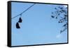 Sneakers on a Wire-null-Framed Stretched Canvas
