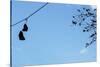Sneakers on a Wire-null-Stretched Canvas