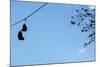 Sneakers on a Wire-null-Mounted Photo