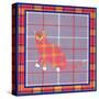 Sneakers Plaid Pattern-David Sheskin-Stretched Canvas