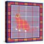 Sneakers Plaid Pattern-David Sheskin-Stretched Canvas