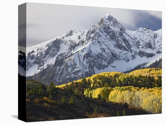 Sneffels Range with Aspens in Fall Colors, Near Ouray, Colorado-James Hager-Stretched Canvas