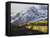 Sneffels Range with Aspens in Fall Colors, Near Ouray, Colorado-James Hager-Framed Stretched Canvas