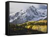 Sneffels Range with Aspens in Fall Colors, Near Ouray, Colorado-James Hager-Framed Stretched Canvas