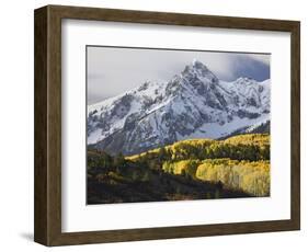 Sneffels Range with Aspens in Fall Colors, Near Ouray, Colorado-James Hager-Framed Photographic Print