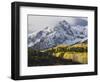 Sneffels Range with Aspens in Fall Colors, Near Ouray, Colorado-James Hager-Framed Photographic Print