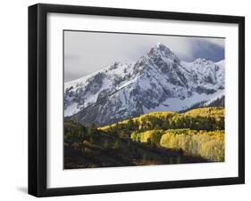 Sneffels Range with Aspens in Fall Colors, Near Ouray, Colorado-James Hager-Framed Photographic Print