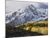 Sneffels Range with Aspens in Fall Colors, Near Ouray, Colorado-James Hager-Mounted Photographic Print