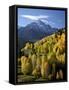 Sneffels Range with Fall Colors Near Dallas Divide, Uncompahgre National Forest, Colorado-James Hager-Framed Stretched Canvas