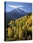 Sneffels Range with Fall Colors Near Dallas Divide, Uncompahgre National Forest, Colorado-James Hager-Stretched Canvas