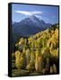 Sneffels Range with Fall Colors Near Dallas Divide, Uncompahgre National Forest, Colorado-James Hager-Framed Stretched Canvas