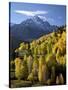 Sneffels Range with Fall Colors Near Dallas Divide, Uncompahgre National Forest, Colorado-James Hager-Stretched Canvas