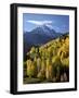 Sneffels Range with Fall Colors Near Dallas Divide, Uncompahgre National Forest, Colorado-James Hager-Framed Photographic Print