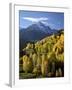 Sneffels Range with Fall Colors Near Dallas Divide, Uncompahgre National Forest, Colorado-James Hager-Framed Photographic Print