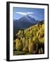 Sneffels Range with Fall Colors Near Dallas Divide, Uncompahgre National Forest, Colorado-James Hager-Framed Photographic Print