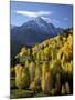 Sneffels Range with Fall Colors Near Dallas Divide, Uncompahgre National Forest, Colorado-James Hager-Mounted Photographic Print