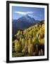 Sneffels Range with Fall Colors Near Dallas Divide, Uncompahgre National Forest, Colorado-James Hager-Framed Photographic Print