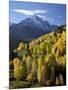 Sneffels Range with Fall Colors Near Dallas Divide, Uncompahgre National Forest, Colorado-James Hager-Mounted Photographic Print