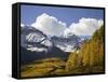 Sneffels Range with Fall Colors, Near Ouray, Colorado, United States of America, North America-James Hager-Framed Stretched Canvas