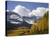 Sneffels Range with Fall Colors, Near Ouray, Colorado, United States of America, North America-James Hager-Stretched Canvas