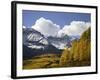 Sneffels Range with Fall Colors, Near Ouray, Colorado, United States of America, North America-James Hager-Framed Photographic Print