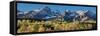 Sneffles Range Panorama-Larry Malvin-Framed Stretched Canvas